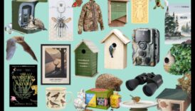 مغامرة الحيوانات: هدايا مستوحاة من الحياة البرية لمحبي الحيوانات