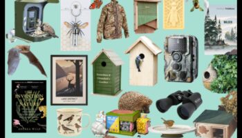 مغامرة الحيوانات: هدايا مستوحاة من الحياة البرية لمحبي الحيوانات