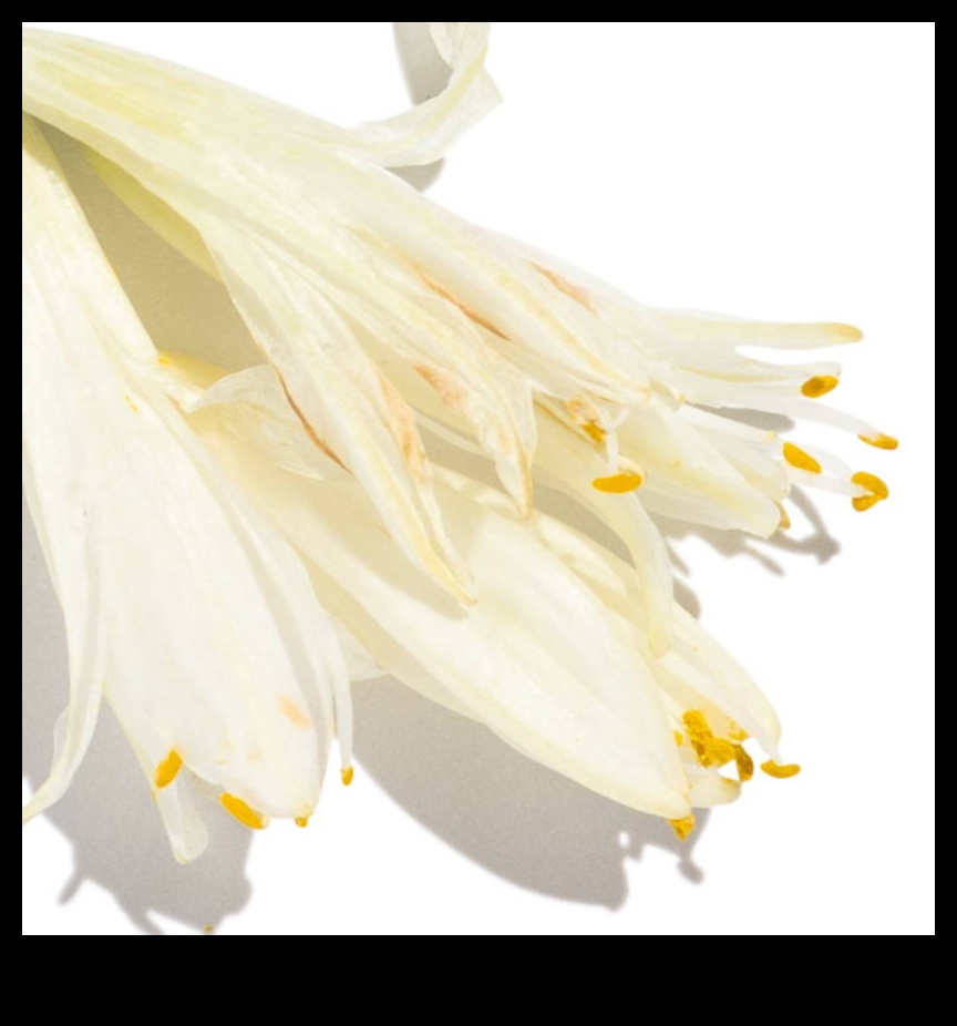 ضخ الأزهار: استكشاف تأثير النباتات في المكياج الطبيعي