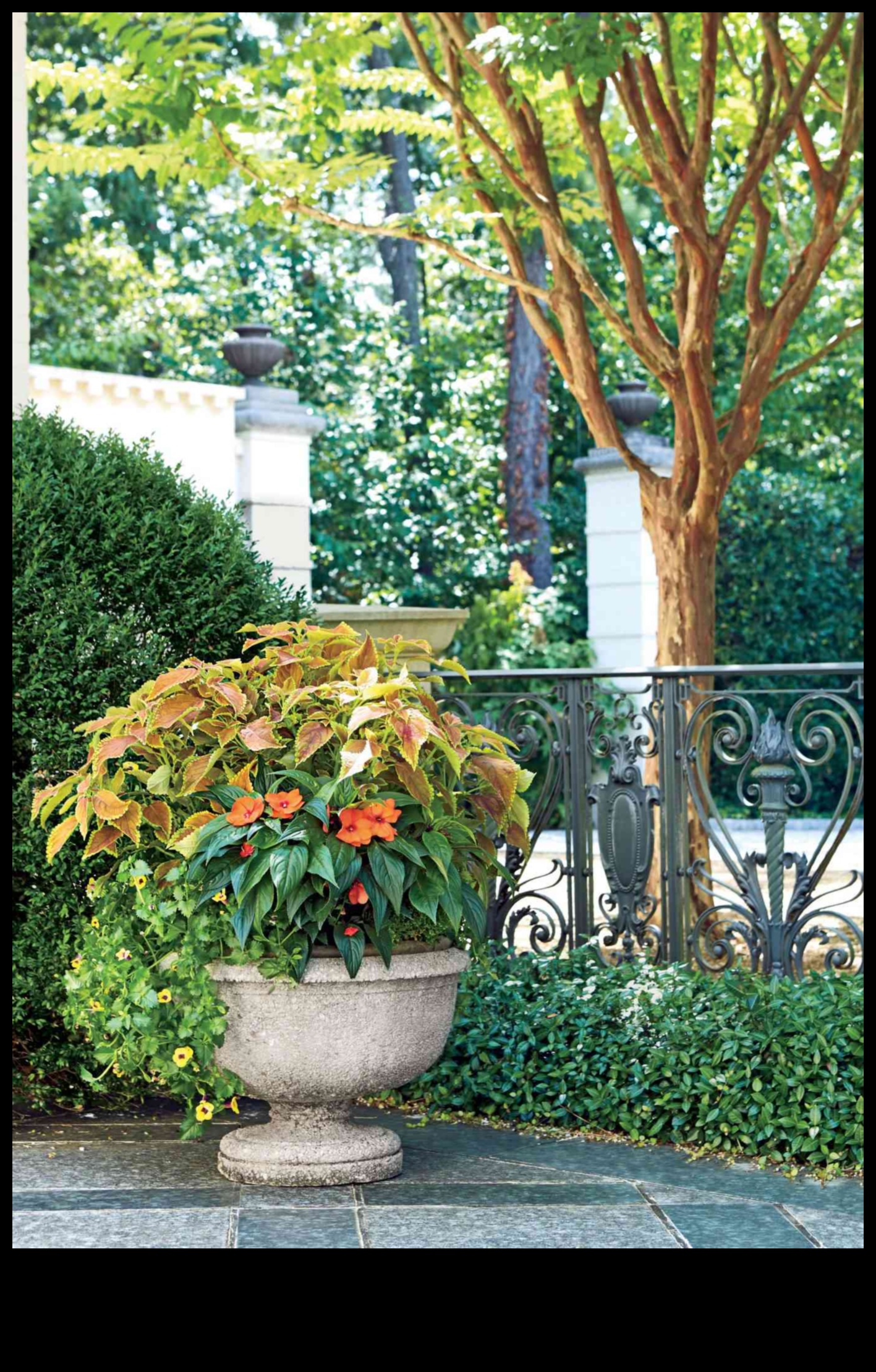 أناقة الأزهار: حاوية البستنة لكل منزل