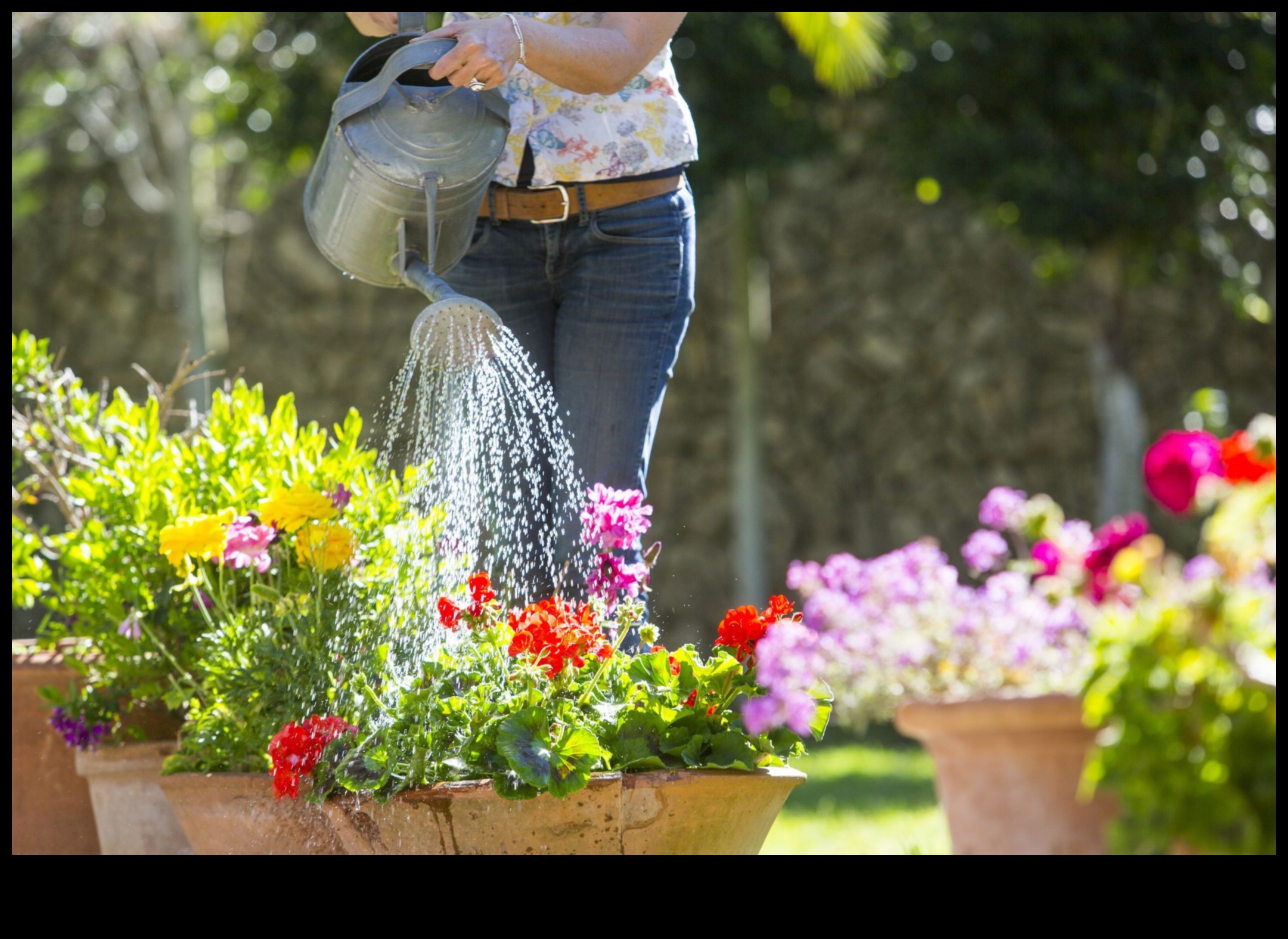 أناقة الأزهار: حاوية البستنة لكل منزل