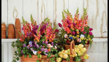 أناقة الأزهار: حاوية البستنة لكل منزل