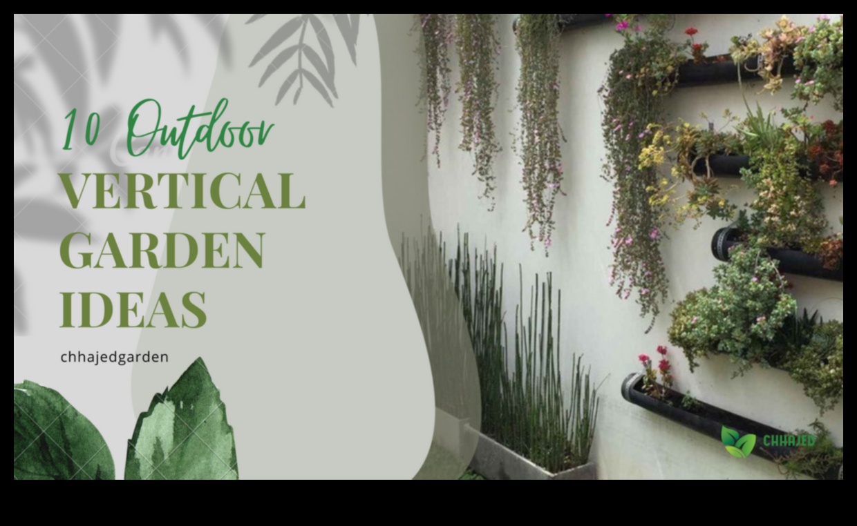 الارتقاء إلى ازدهار البستنة العمودية من أجل عالم حديث 5 الصعود إلى الزهرة: جاذبية البستنة العمودية