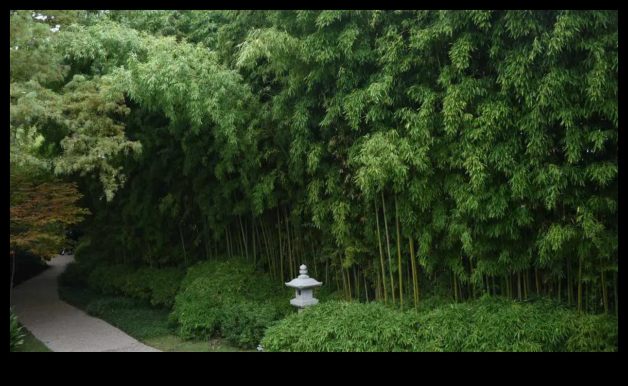 نسائم الخيزران: أسرار البستنة اليابانية