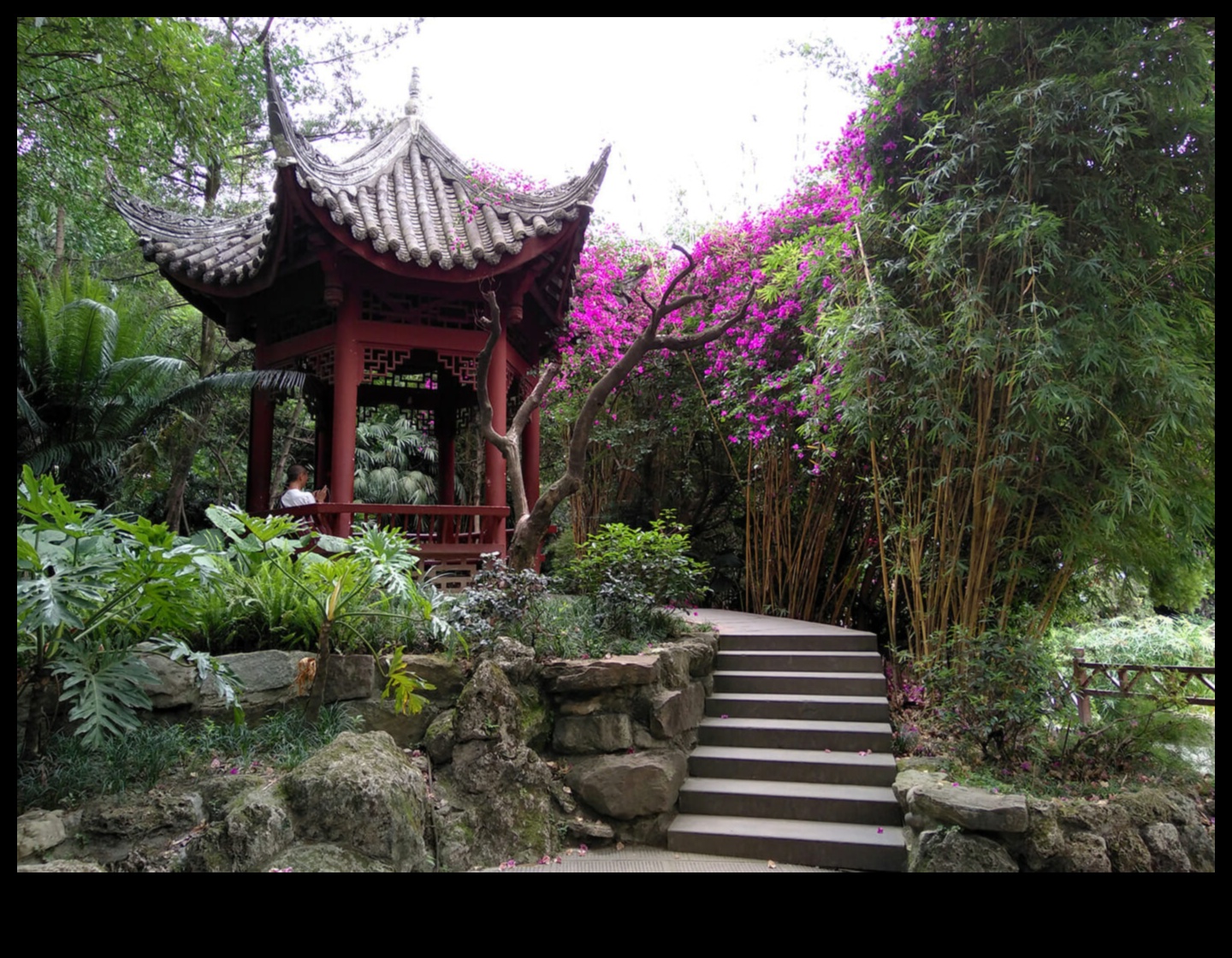 نسائم الخيزران: أسرار البستنة اليابانية