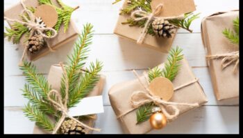 Green Guardian: هدايا صديقة للبيئة من أجل حياة مستدامة