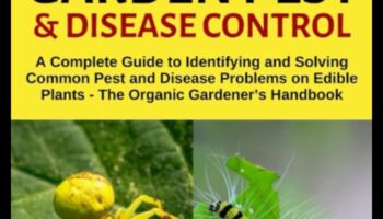 مكافحة حشرات الحديقة: دليل البستاني لإتقان الآفات