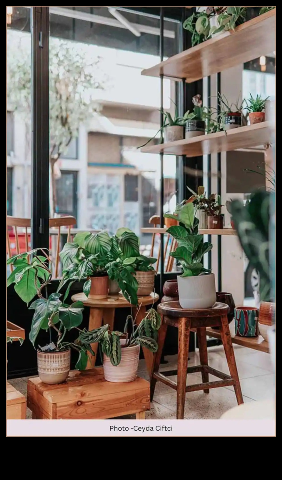 بث الحياة في المناظر الطبيعية الخاصة بك مع ديكور الحديقة الجذاب 4 بث الحياة في المناظر الطبيعية الخاصة بك: ديكور حديقة آسر