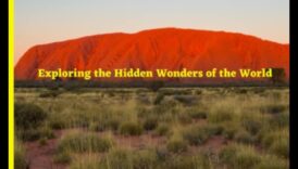 نمط فوييجر: استكشاف مناطق مجهولة في عالم الأناقة