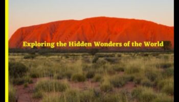 نمط فوييجر: استكشاف مناطق مجهولة في عالم الأناقة