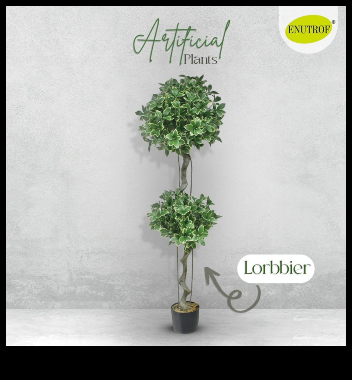 عظمة الحديقة: ارفع مساحتك باستخدام العجائب الفنية