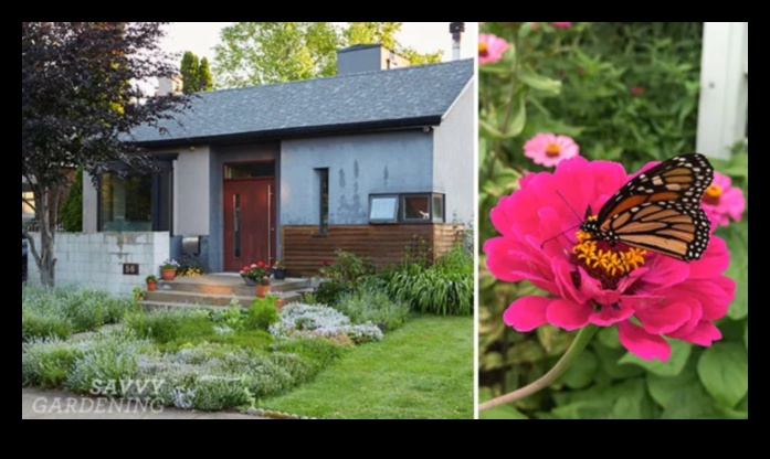 ملاذ البستنة: صياغة حدائق الصفاء