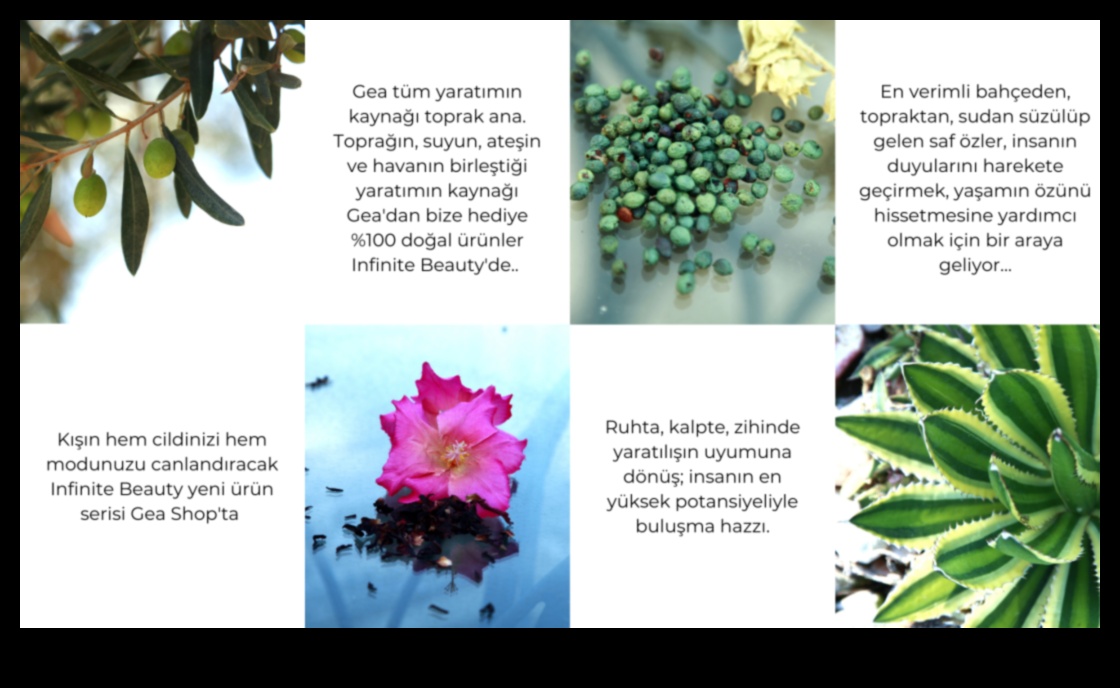 بتلات الإمكانية: جمال البستنة اللامتناهي