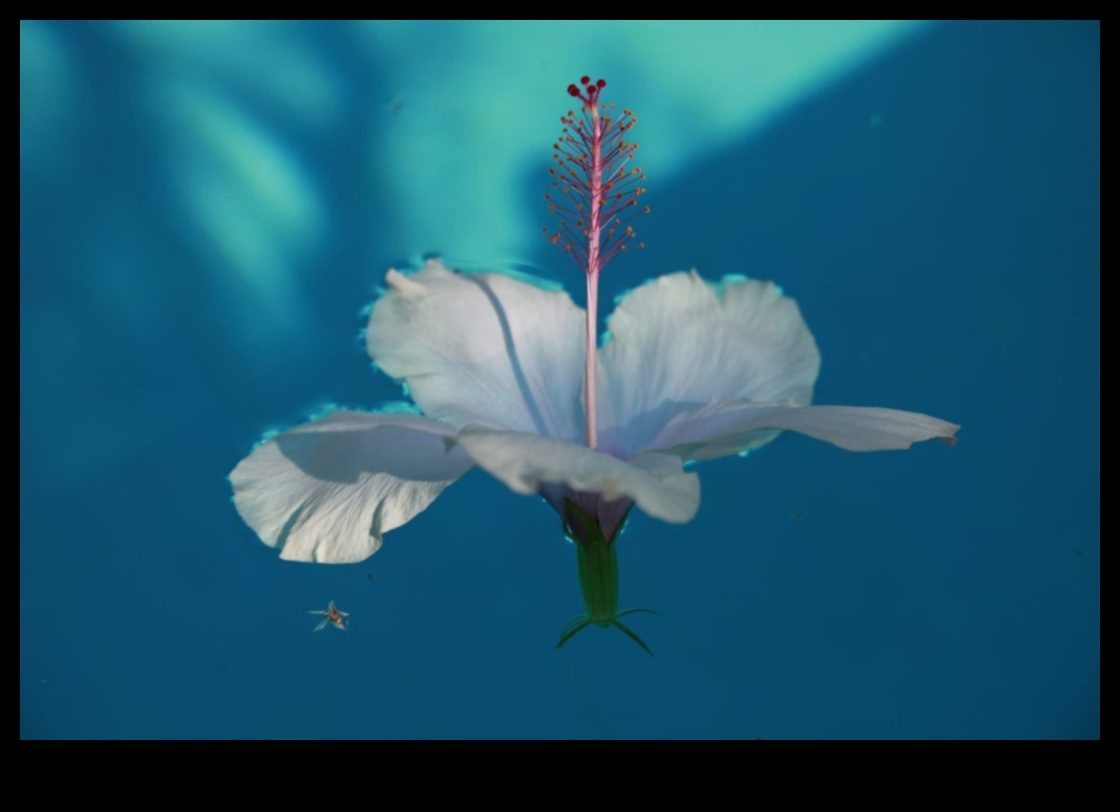 بتلات الإمكانية: جمال البستنة اللامتناهي