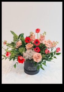 بتلات الإمكانية: جمال البستنة اللامتناهي