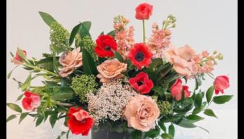 بتلات الإمكانية: جمال البستنة اللامتناهي