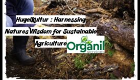 الطريقة العضوية: صياغة الحدائق بحكمة الطبيعة