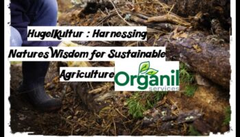 الطريقة العضوية: صياغة الحدائق بحكمة الطبيعة